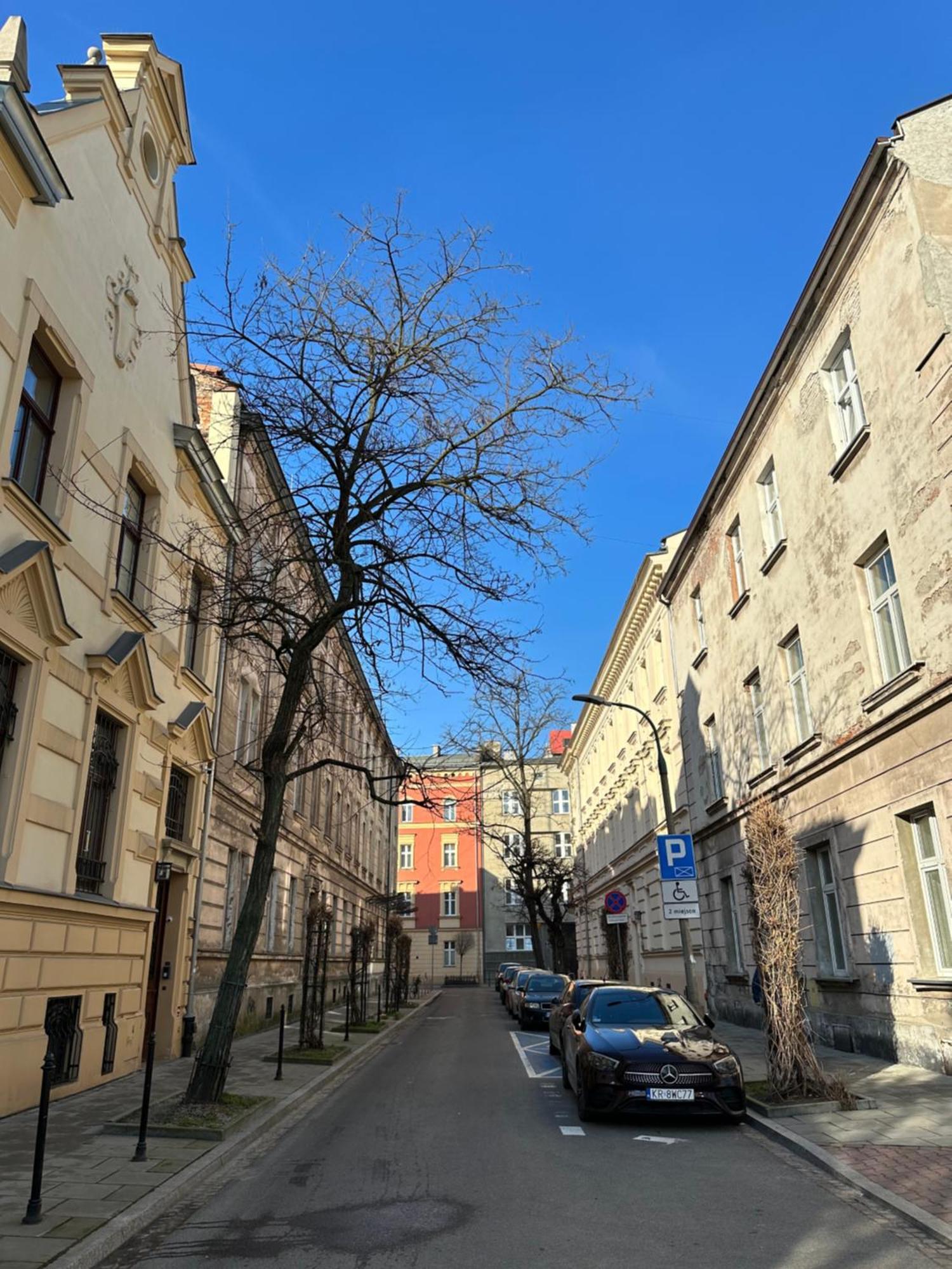 Perfect Place To Stay In Krakow City Center 40M2 W4 المظهر الخارجي الصورة